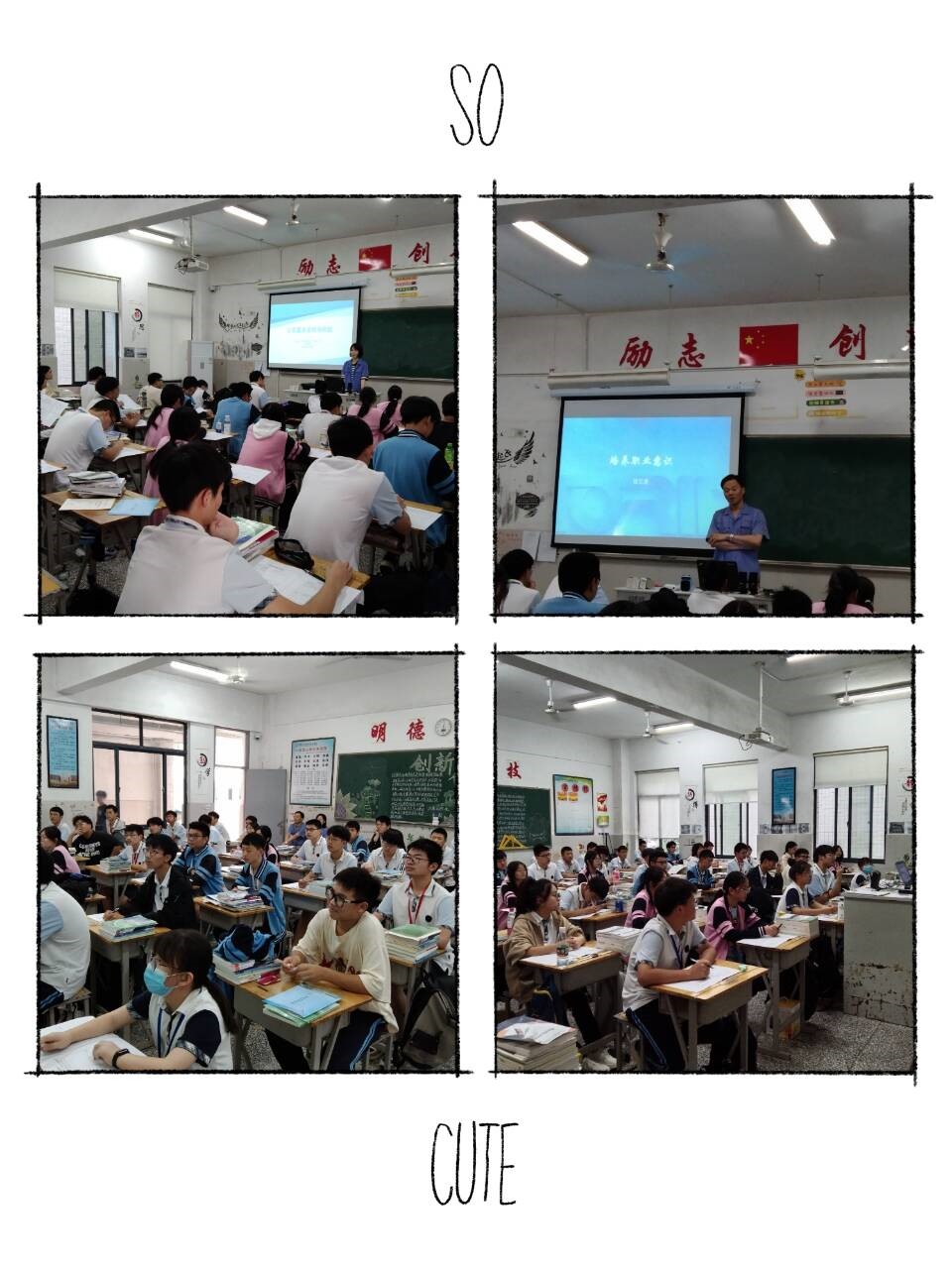 c4ecab87dcc549caa201a8b8095cdae8.jpg