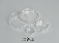 25063aa24b2546ac8b688c96753e5d12.Png